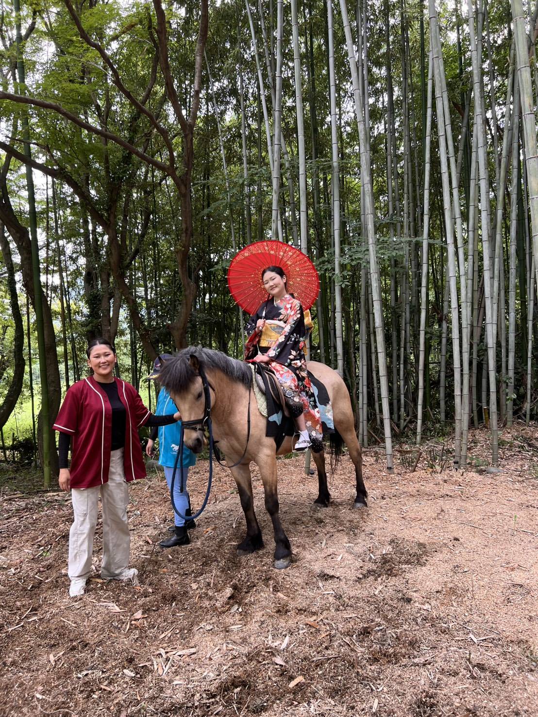 Kimono horseback experience in a bamboo grove